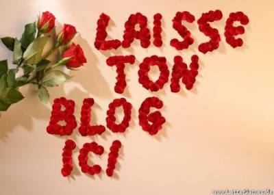 *laisse ton blog ici*